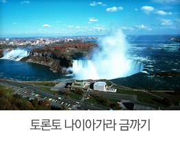 토론토 나이아가라 금까기