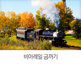 비아레일 금까기