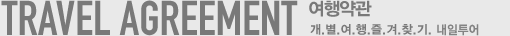 TRAVEL AGREEMENT ¿©Çà¾à°ü °³º°¿©ÇàÁñ°Üã±â ³»ÀÏÅõ¾î