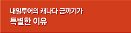 내일투어의 캐나다 금까기가 특별한 이유