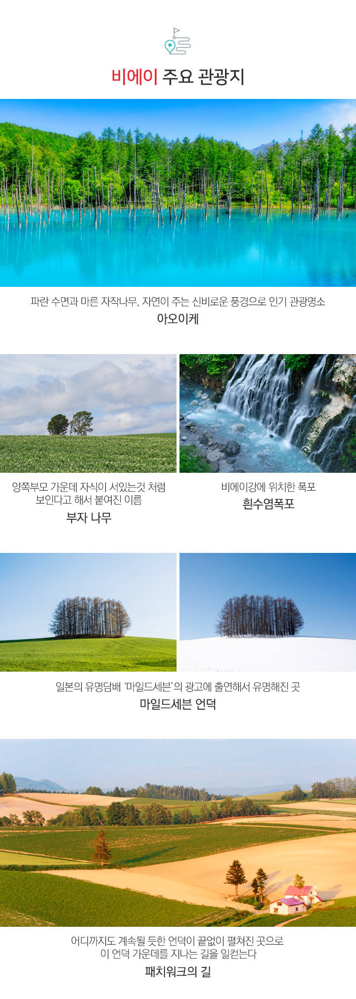 비에이 주요관광지